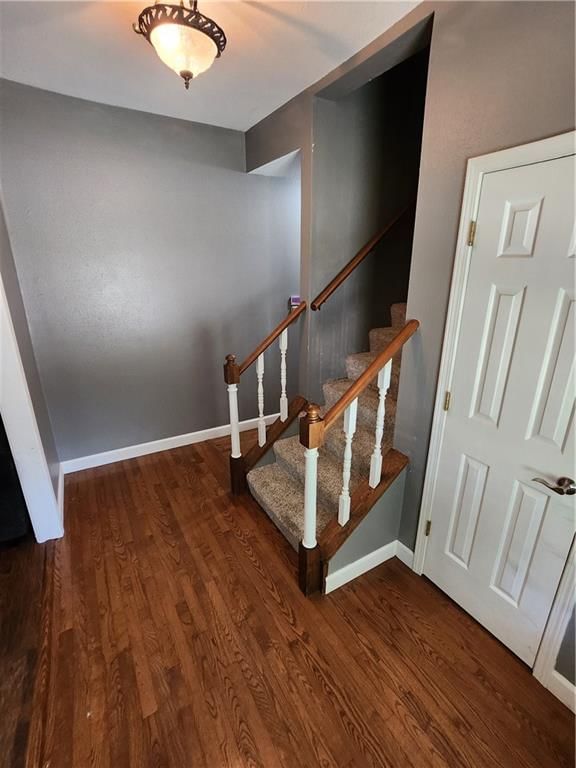 2540 Shady Lane — photo 8