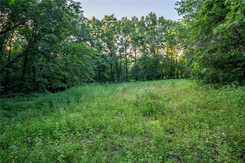 186 highway B Highway — photo 74