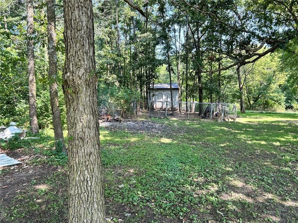 39318 E State Highway 146 Highway — photo 8