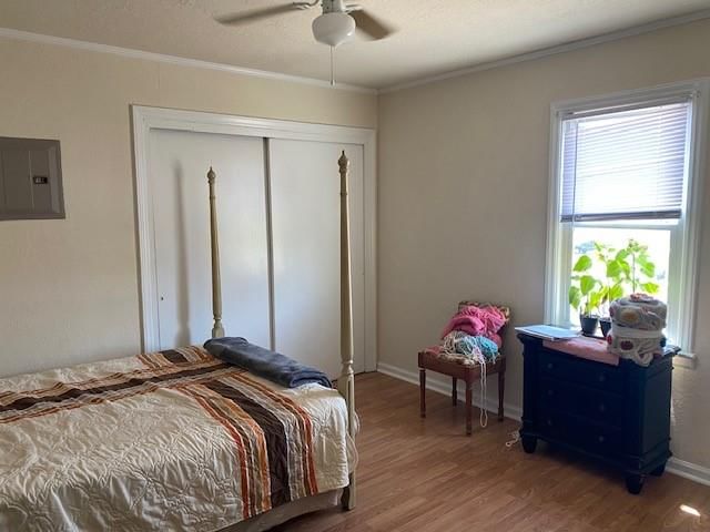 Photo 6 of 20 - 563 S Ash Avenue