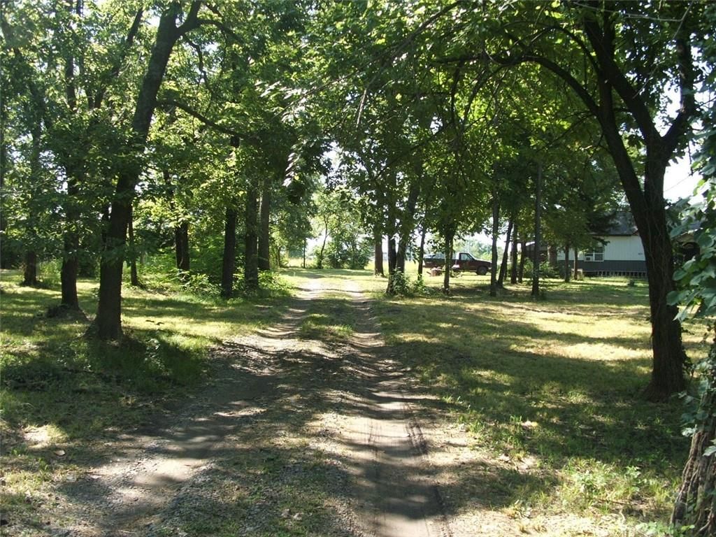 1523 Bridge Street — photo 7