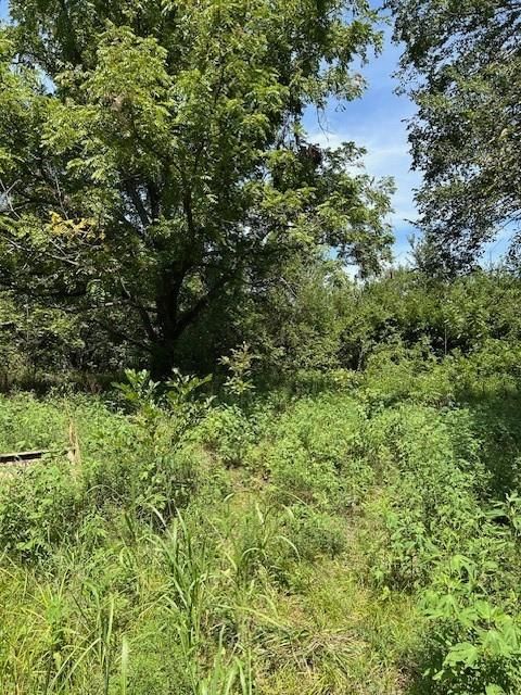 685 Walnut Street — photo 11