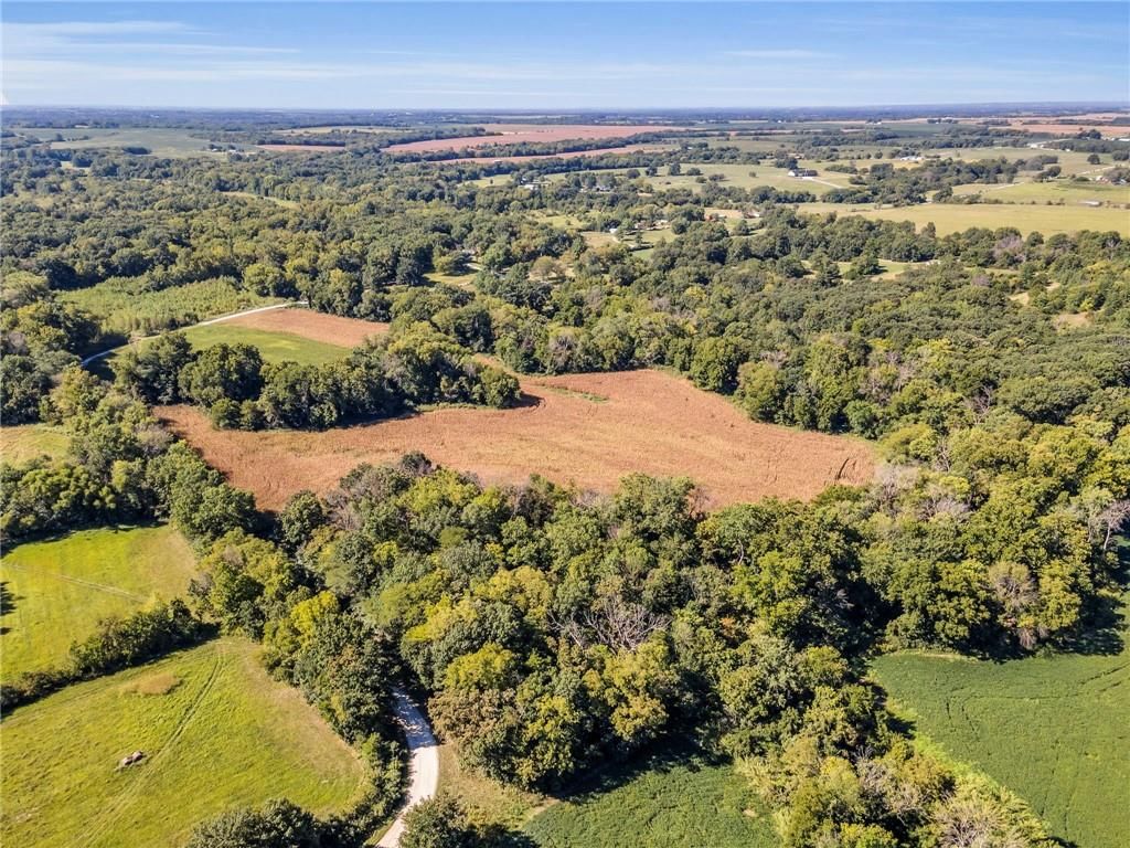14271 Mount Tabor Road — photo 3