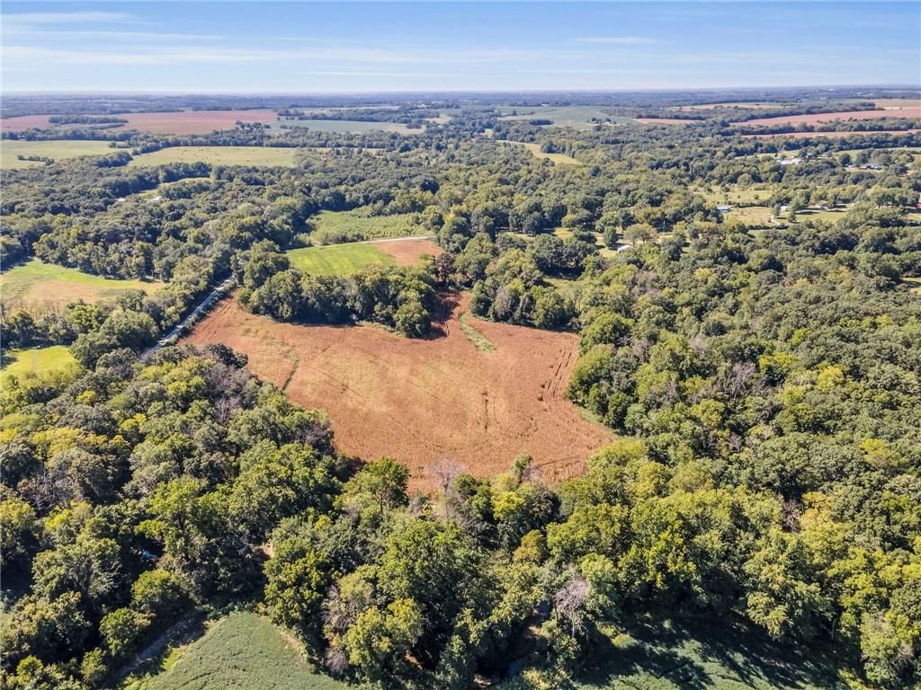 14271 Mount Tabor Road — photo 4