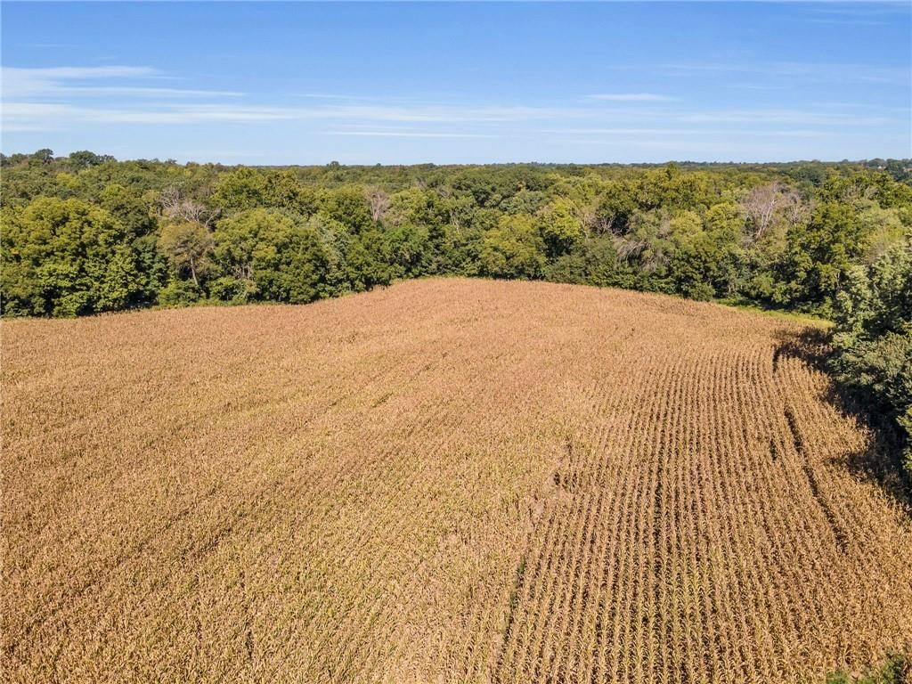 14271 Mount Tabor Road — photo 10