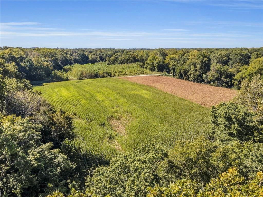 14271 Mount Tabor Road — photo 11