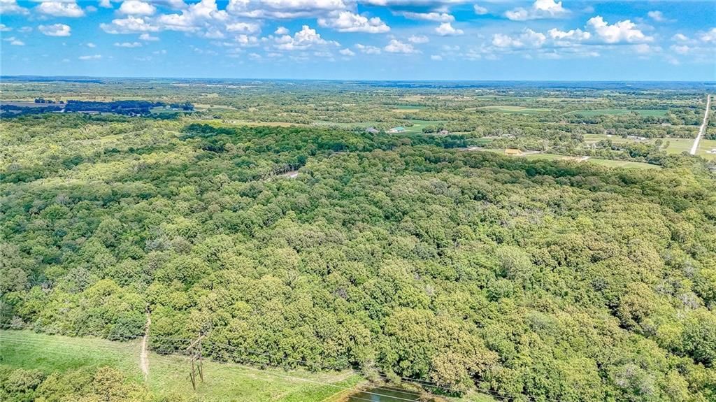 Lot 22 Deer View Estates Road — photo 8