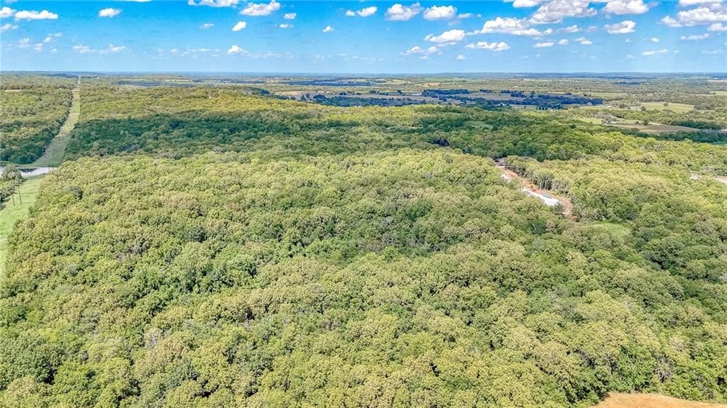 Lot 22 Deer View Estates Road — photo 9