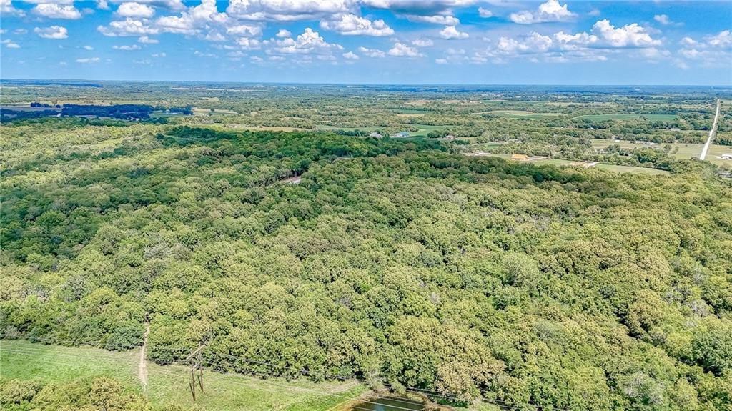 Lot 22 Deer View Estates Road — photo 10
