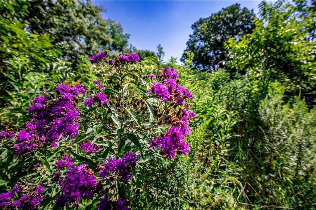 7497 Nickel Road — photo 59