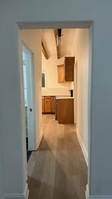 719 W Olive Street — photo 14
