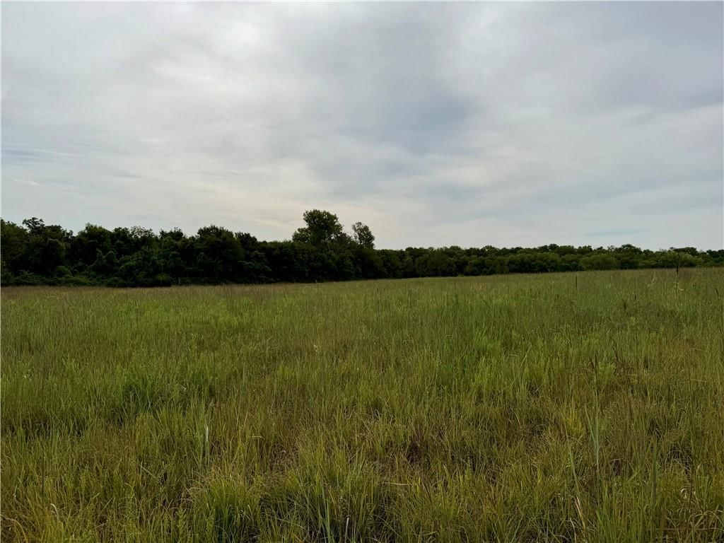 Lot 11 Cantrell Road — photo 8