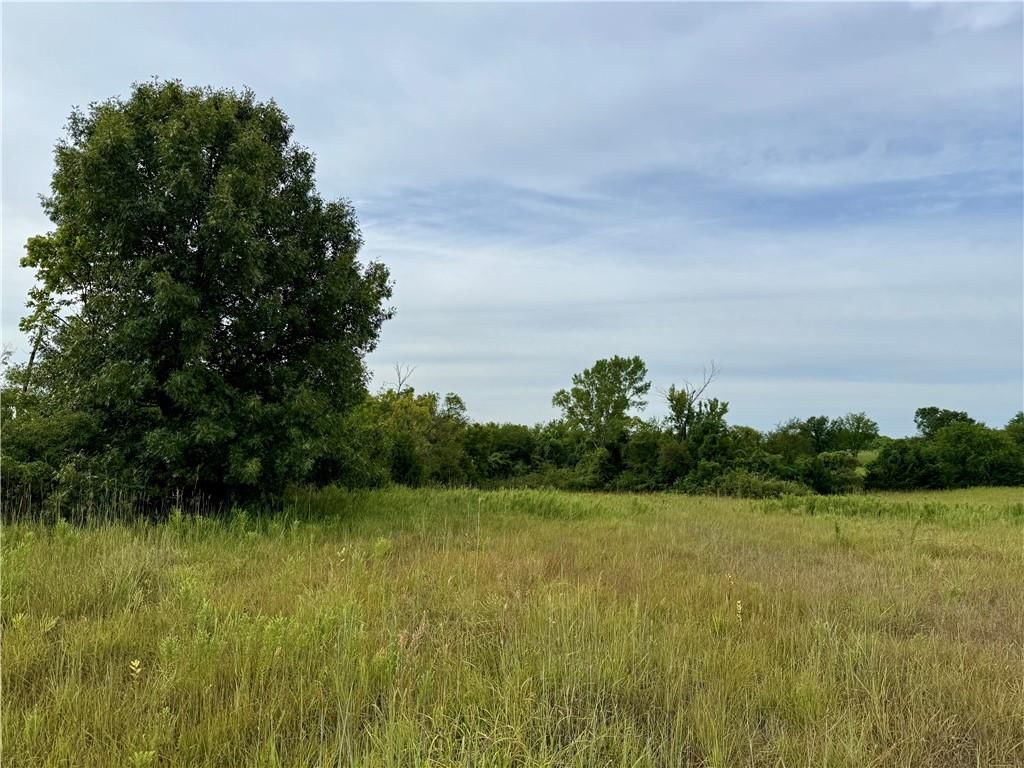 Lot 10 Cantrell Road — photo 10