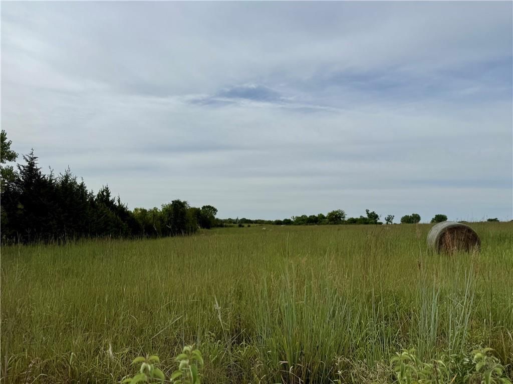 Lot 9 Cantrell Road — photo 5