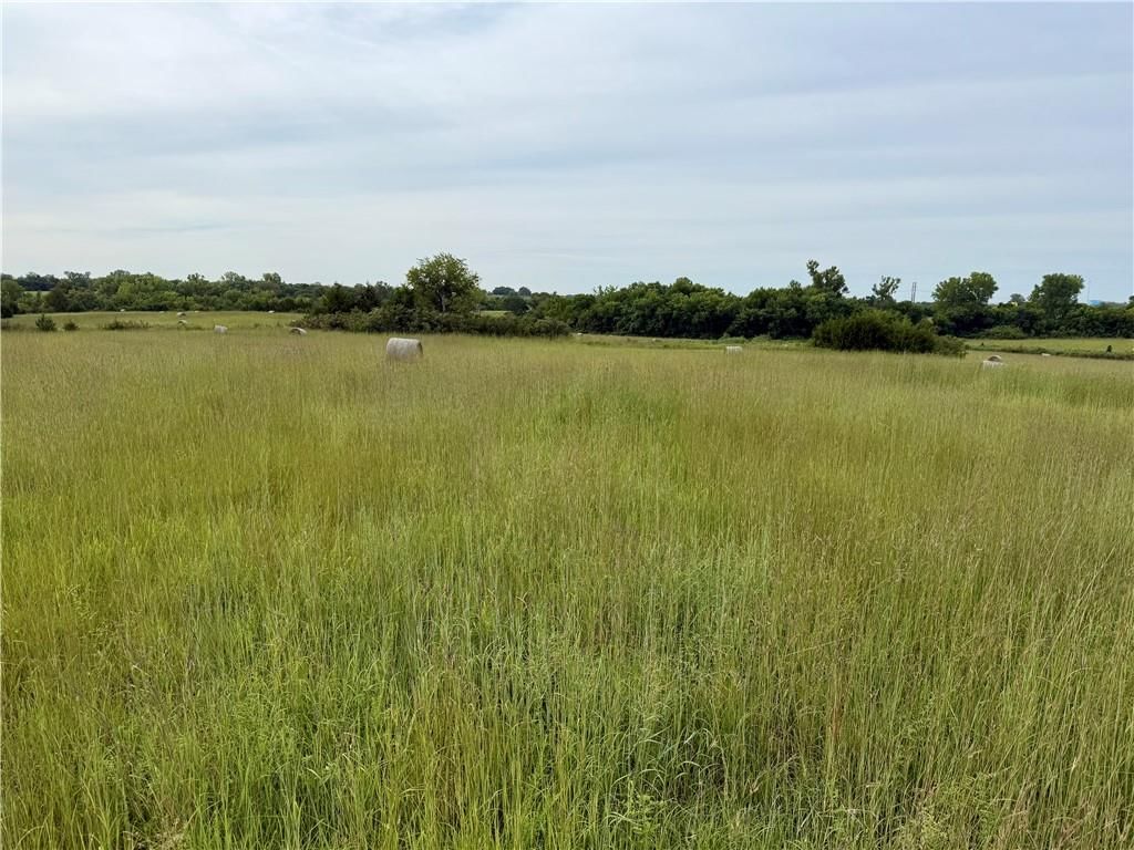 Lot 8 Cantrell Road — photo 5