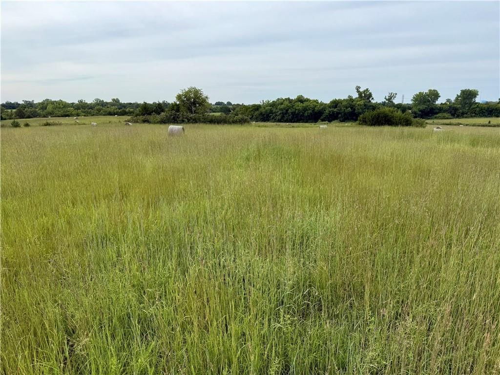 Lot 8 Cantrell Road — photo 6