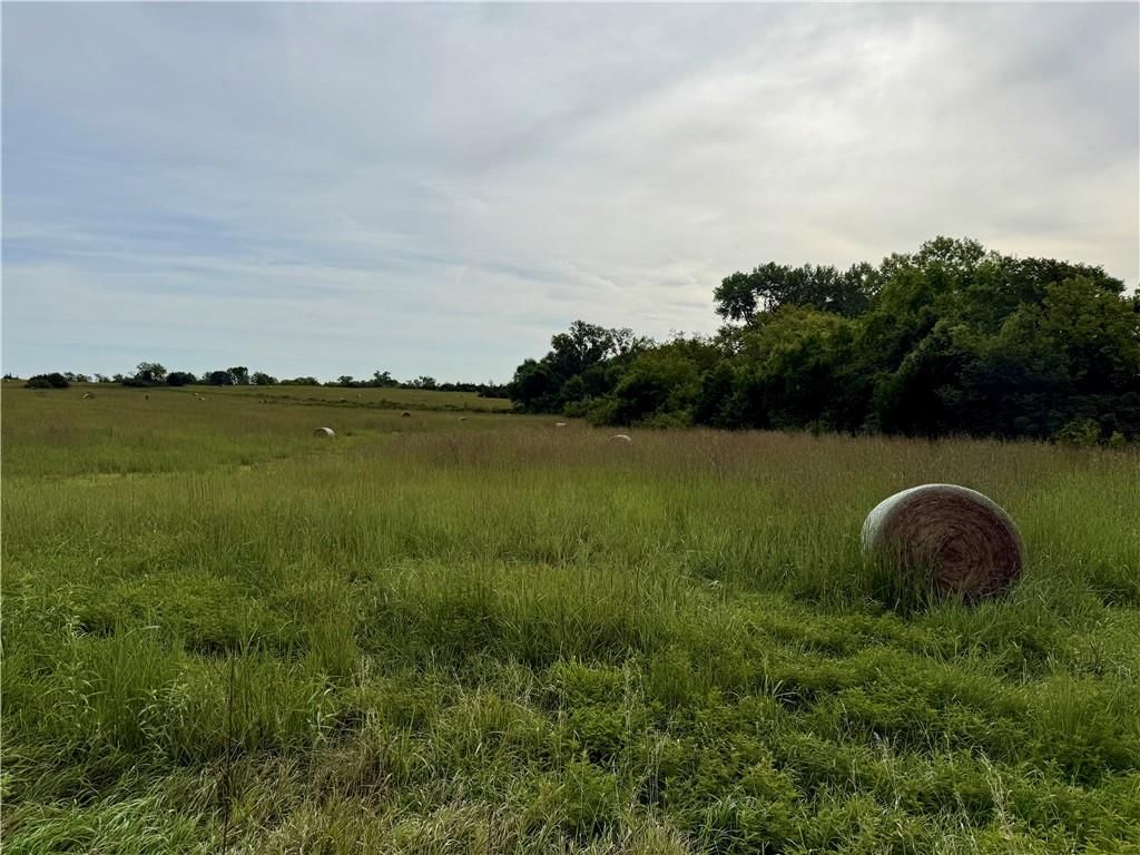 Lot 5 238th Street — photo 6