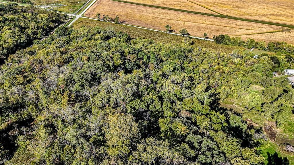 709 N Lake City Buckner Road — photo 4
