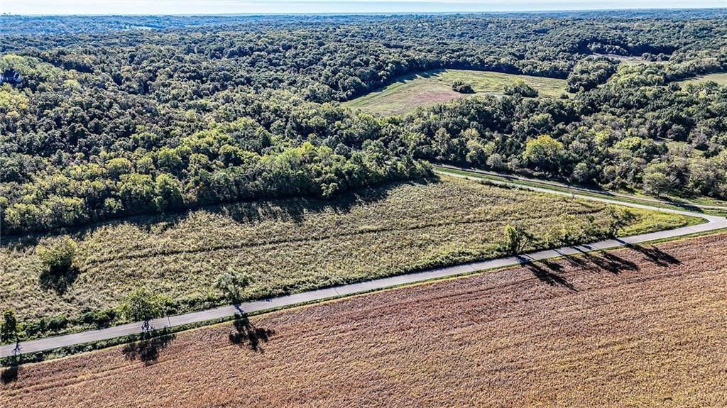 709 N Lake City Buckner Road — photo 5