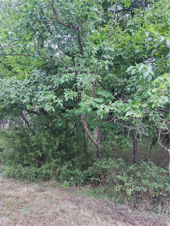 2 & 6 Shady Lane — photo 3