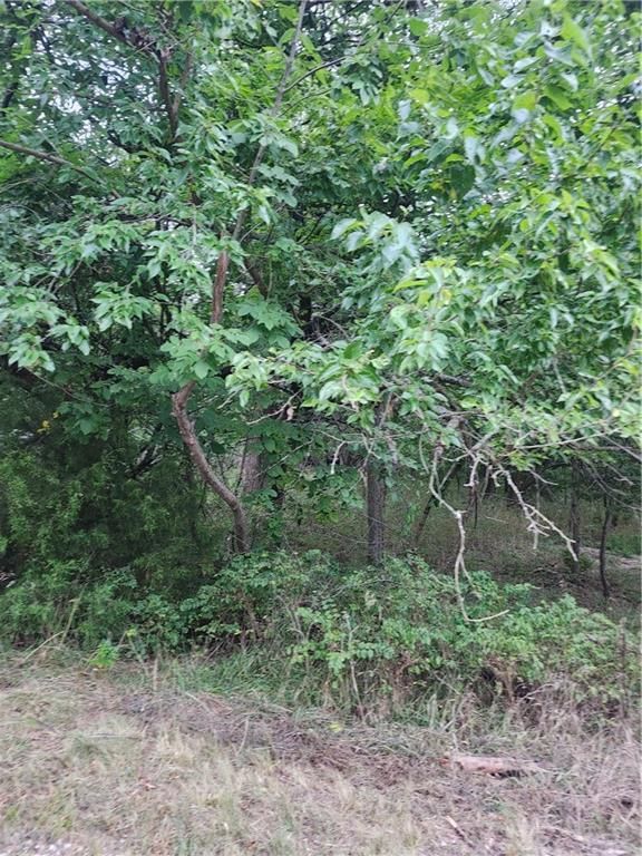 2 & 6 Shady Lane — photo 4