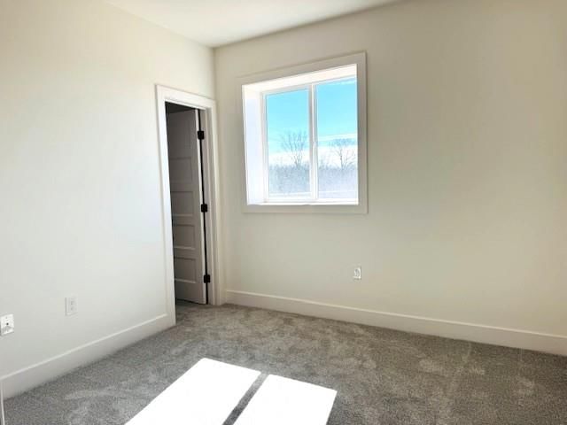 29517 W 196th Street — photo 36
