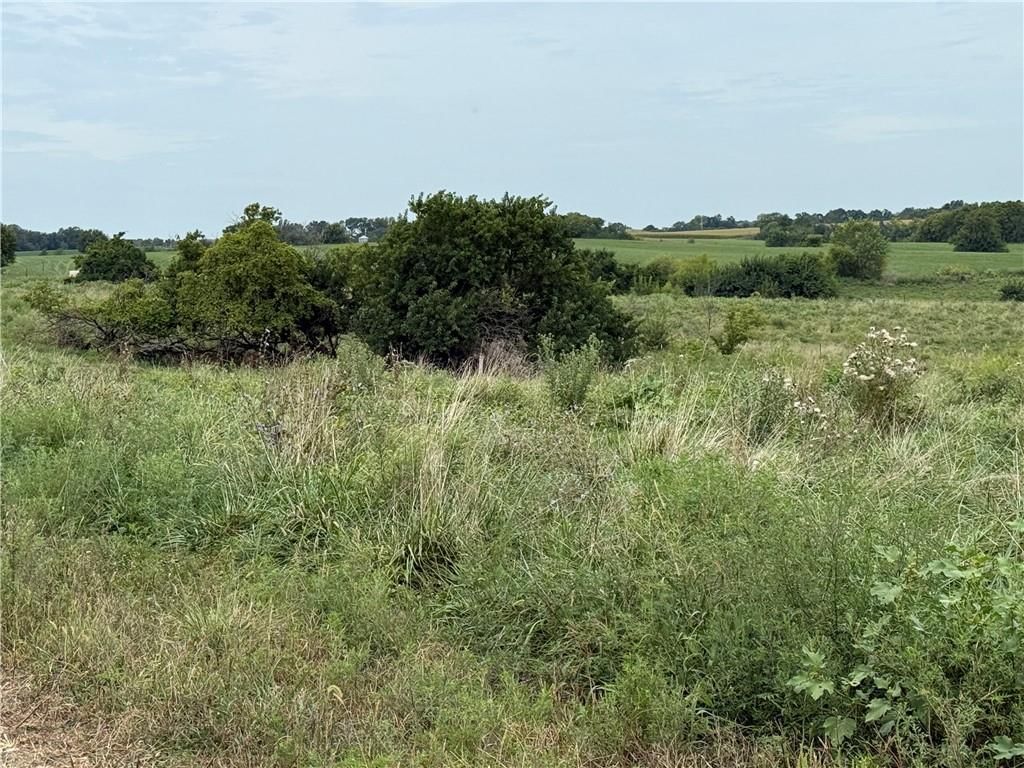S Grant Road — photo 14