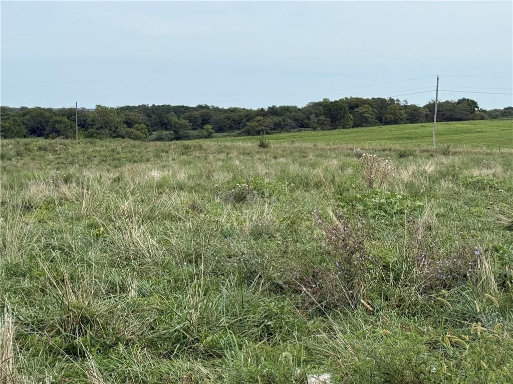 S Grant Road — photo 17
