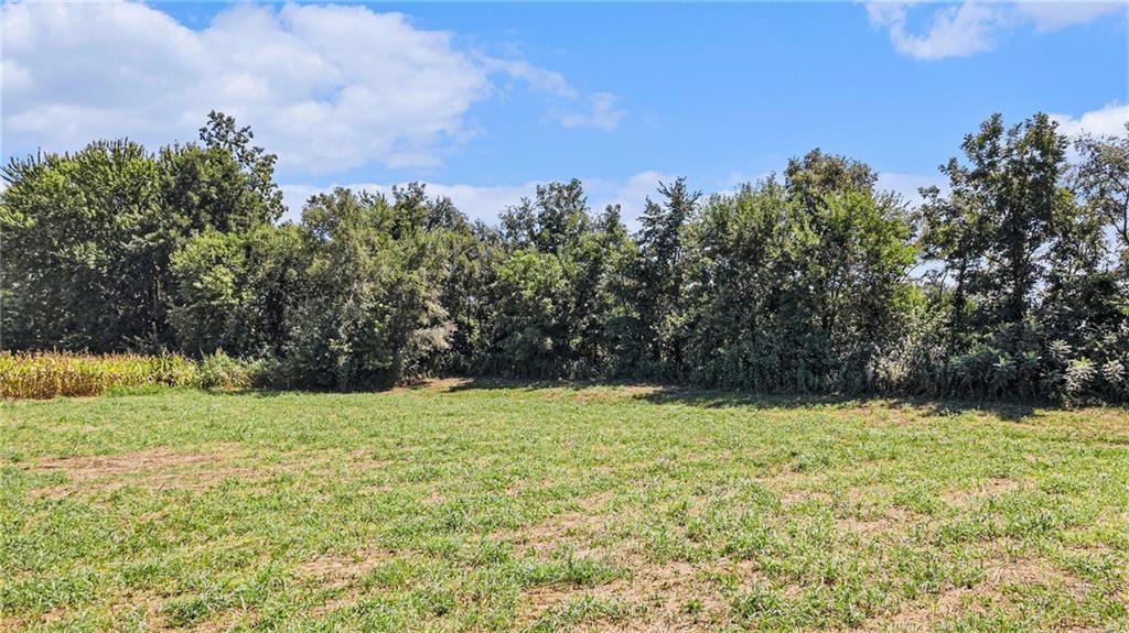 25525 Stillings Road — photo 4