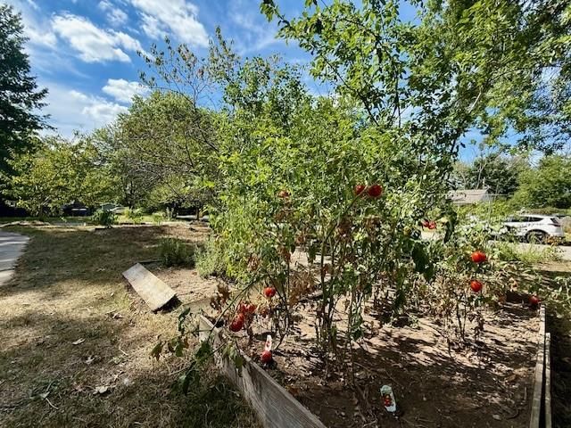 800 Madeline Lane — photo 35