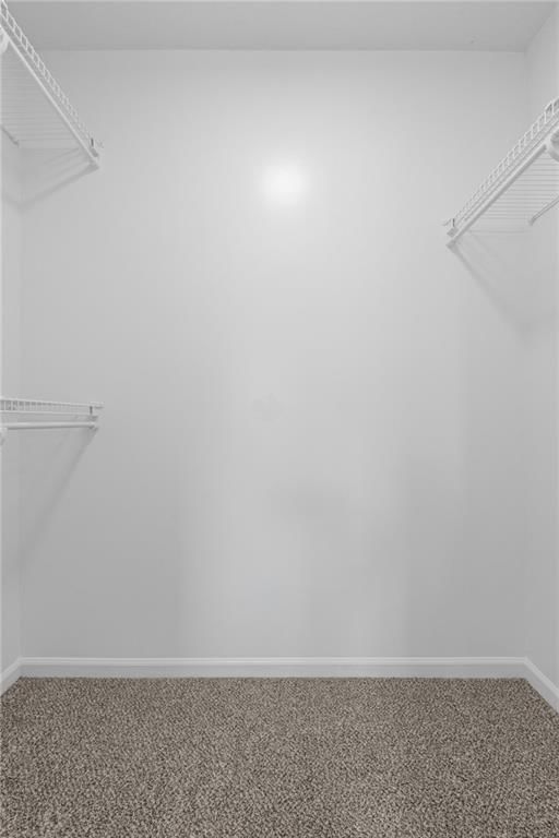12337 S Clinton Street — photo 29