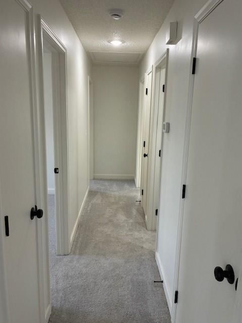 1201 NE 114th Street — photo 19