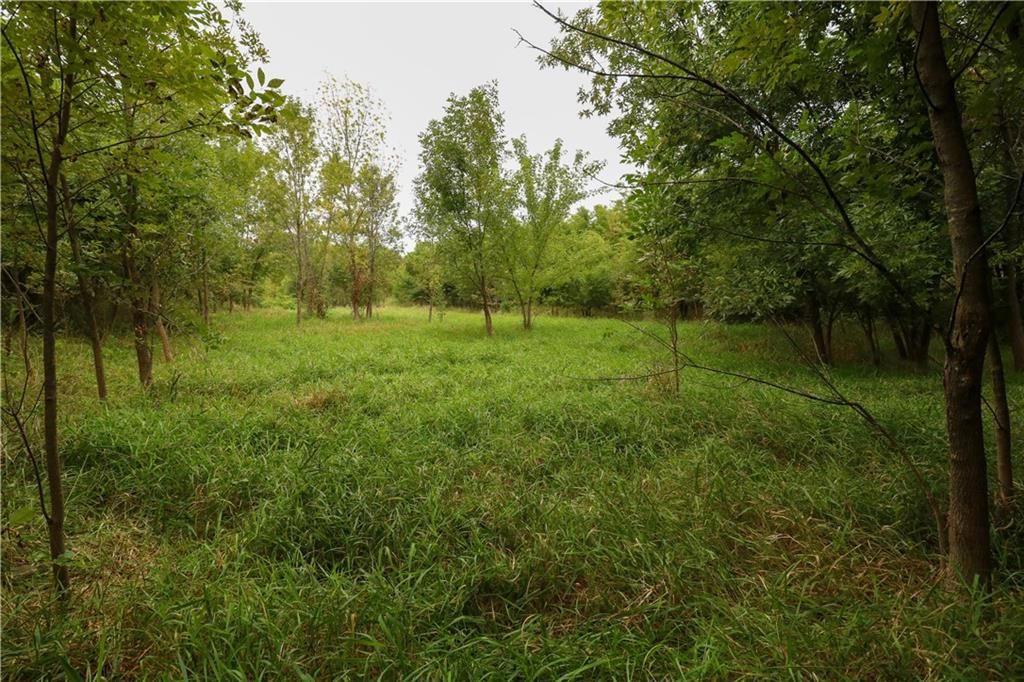 TBD SE HWY PP N/A — photo 4