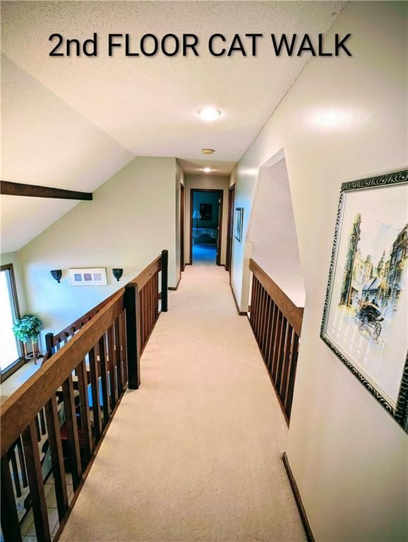 11663 Grant Drive — photo 28