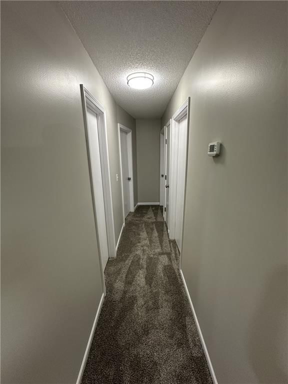 510 Sarah Lane — photo 13