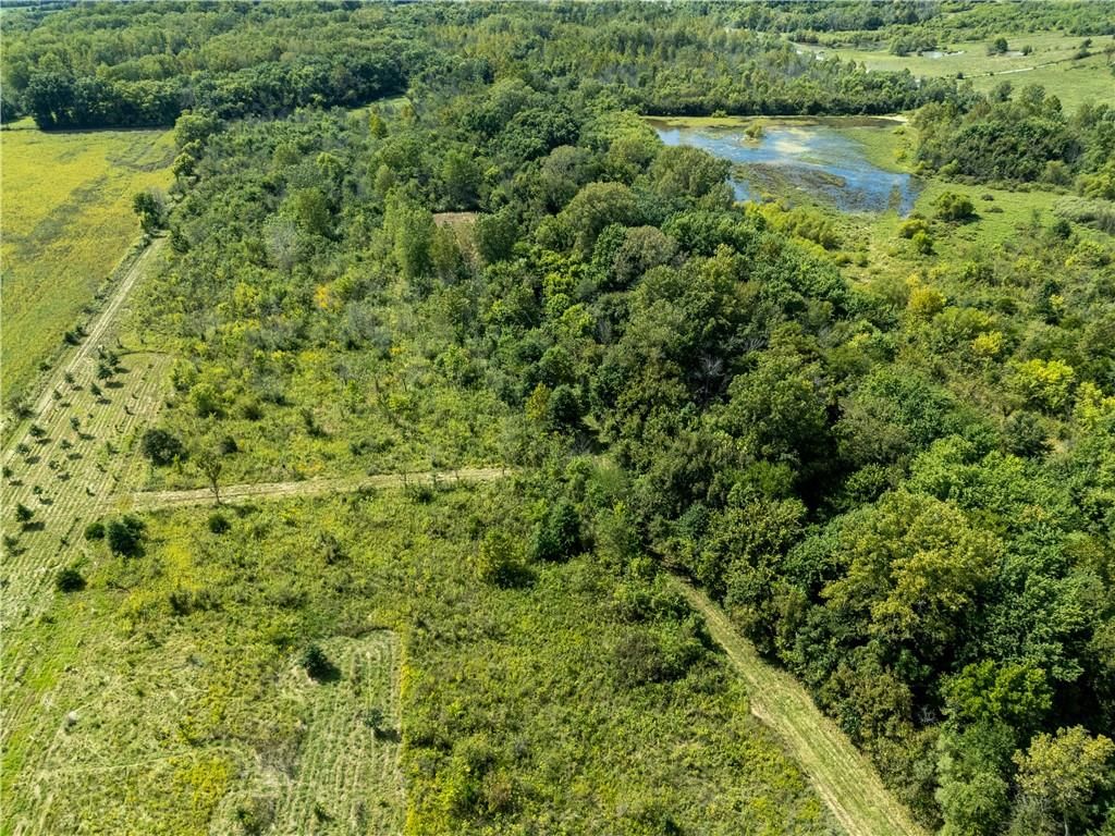 Clark Rd Road — photo 3