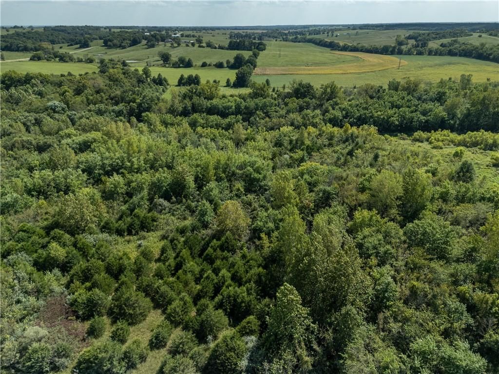 Clark Rd Road — photo 16