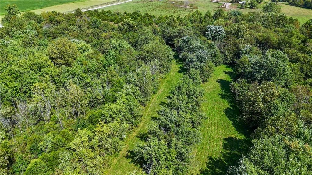 Clark Rd Road — photo 30