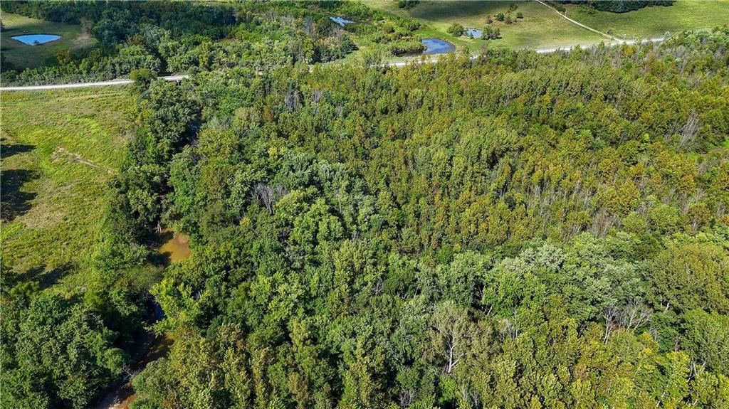Clark Rd Road — photo 40