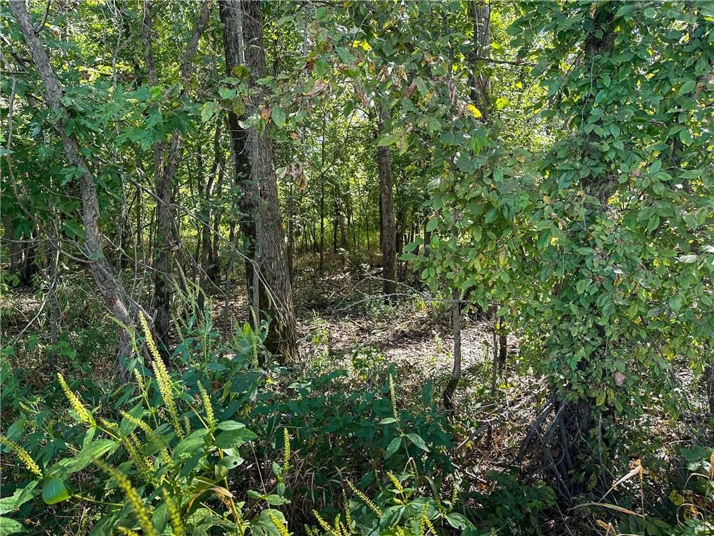 Clark Rd Road — photo 43