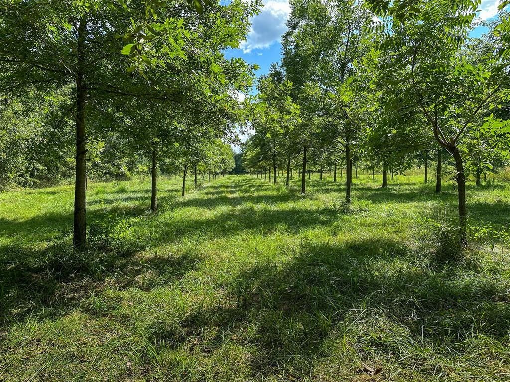 Clark Rd Road — photo 45