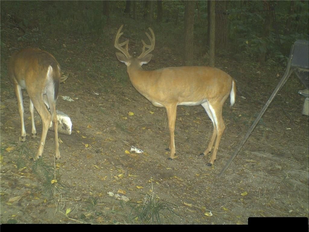 Clark Rd Road — photo 49