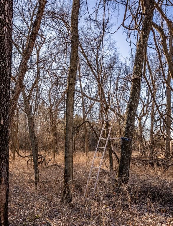 Scott Road — photo 7