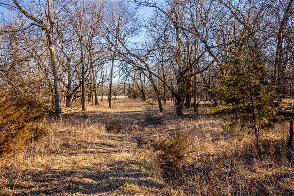 Scott Road — photo 16