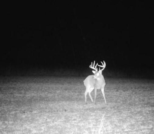 Scott Road — photo 43