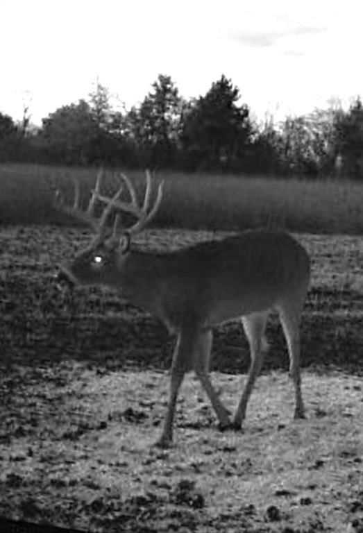Scott Road — photo 45