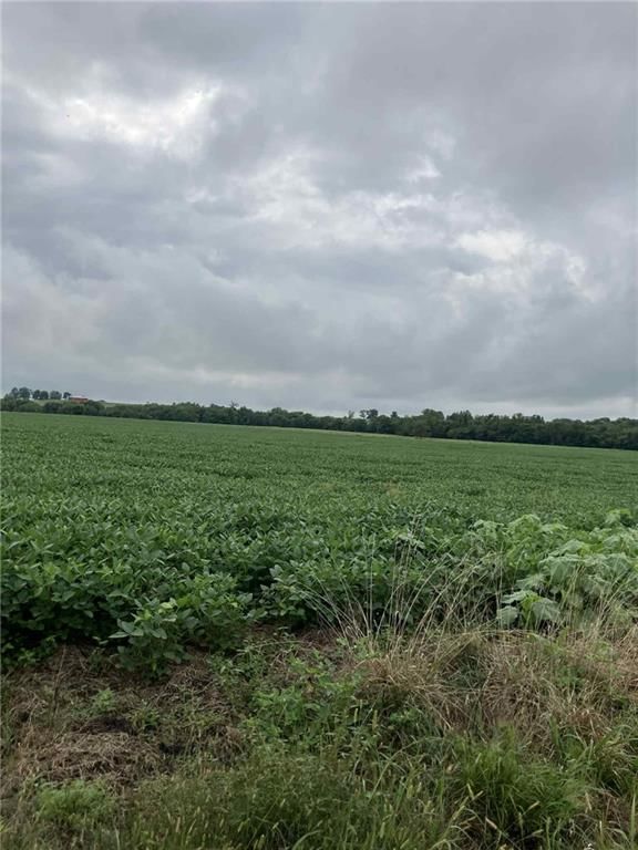 4689 Ks 7 Highway — photo 28
