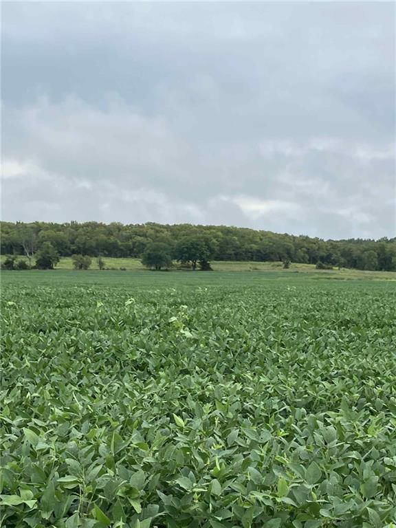 4689 Ks 7 Highway — photo 36