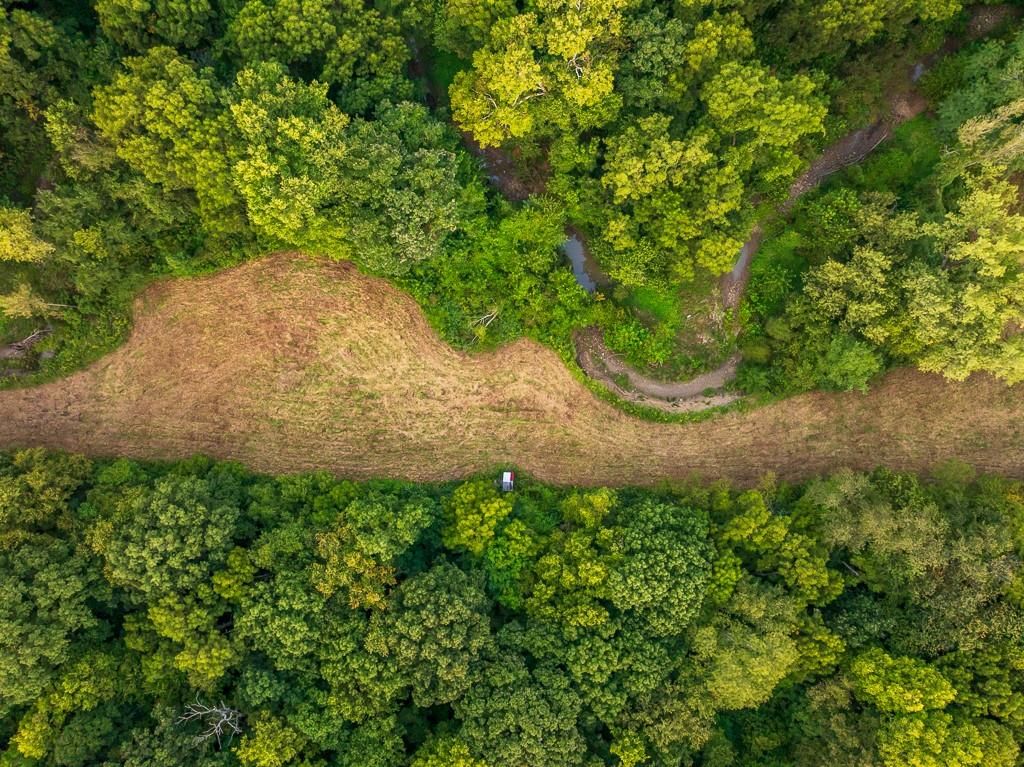 12149 Doniphan Lake Road — photo 10