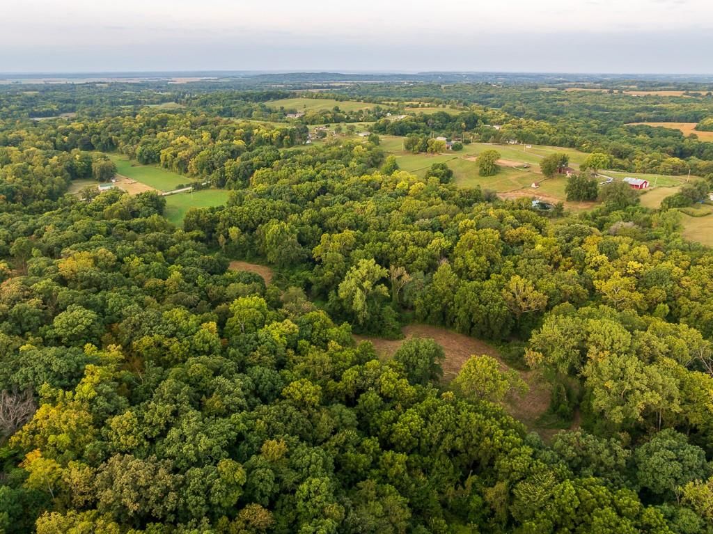 12149 Doniphan Lake Road — photo 11